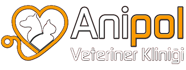 biVet